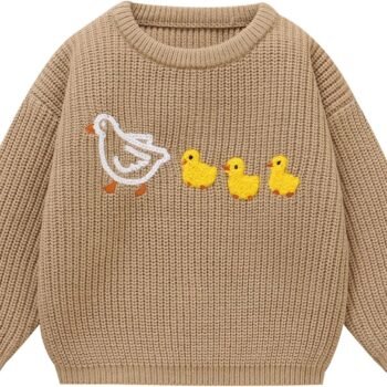 Toddler Girl/Boy Sweater Cute Ducks Hand Embroidered Sweater Fall Winter Outfit 1-5Y